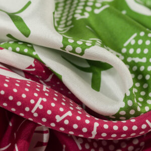 Banana Palm Raspberry Park